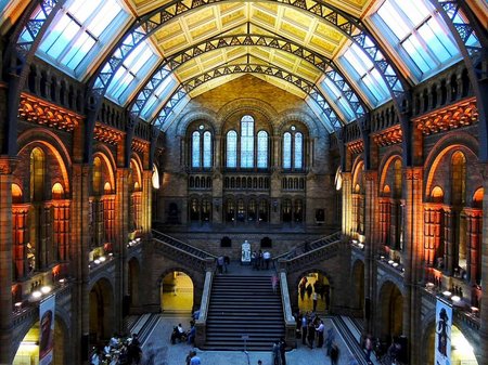 Cultural Meetup - Natural History Museum of London